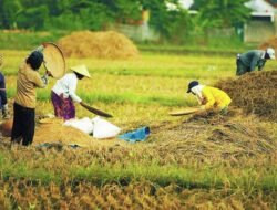 Jadikan Fenomena Geopolitik Momentum Wujudkan Kemandirian Pangan dan Energi