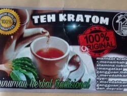 Kratom Secara Tradisional Untuk Tambah Stamina, Atasi Nyeri, Rematik, Asam Urat, Hipertensi, Gejala stroke, dan Diabetes