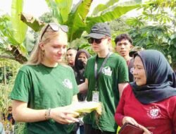 Antusias Para Pelajar Belanda Ikut Memanen Jagung & Singkong di Desa Sukawening Bogor