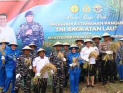 Lantamal XI Merauke Panen Raya Serentak Di Jajaran Satkowil dan Non Satkowil TNI AL