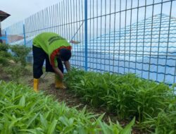 Lapas Kotabaru Tunjukkan Keberhasilan dalam Meningkatkan Ketahanan Pangan Nasional