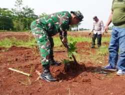 Sinergi TNI, DLHK dan Warga Cimanggis Tanam Pohon di Kawasan Kampus UIII