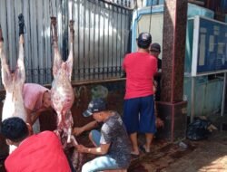 Semangat Idul Adha Mushola Annur Larangan Selatan, Bersatu Salurkan Qurban untuk Sesama