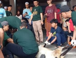 Dewan Kota Jakarta Selatan Ahmad Kurtubi S.Kom, MH Mengadakan Pemotongan Hewan Qurban di Gedung Kafani Group