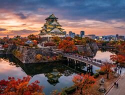 Liburan ke Jepang: Open Trip, Private Trip, atau Sewa?